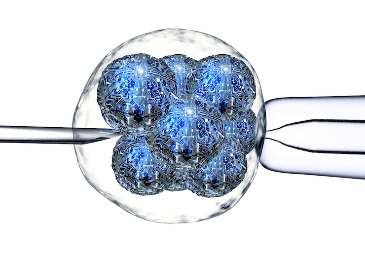 Wenn es um Anti-Aging geht, fällt immer häufiger das Wort Stammzellen. Was genau sind Stammzellen eigentlich und was leisten sie in Sachen Rejuvenation?